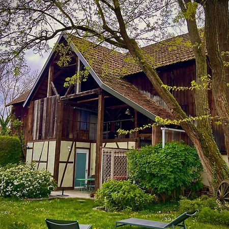 Le Sechoir Du Ried Apartment Rossfeld Luaran gambar